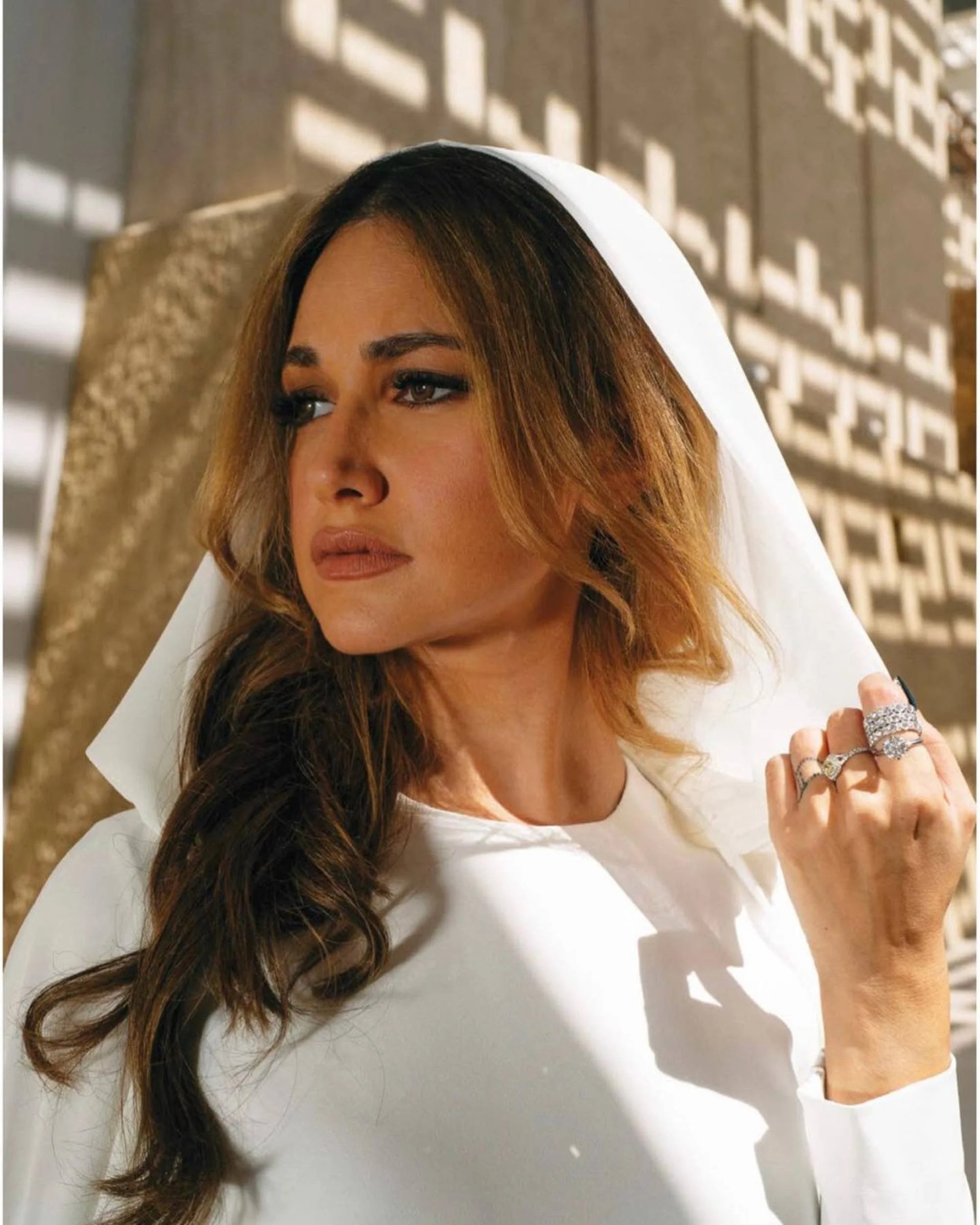 cong chua Saudi Arabia anh 5