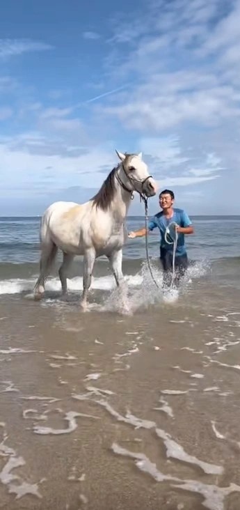 cuoi ngua du lich anh 2