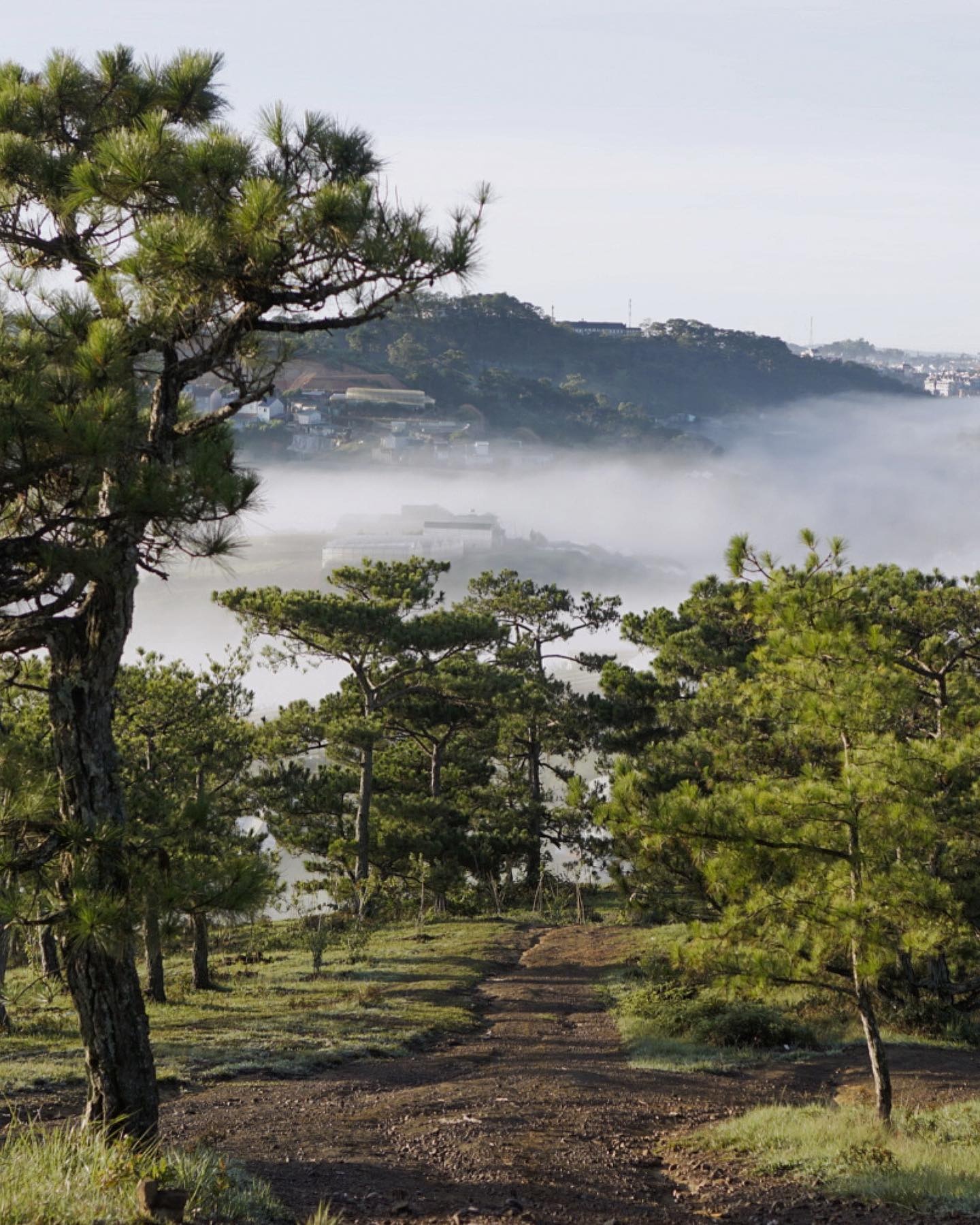 bo viec ve Da Lat anh 3