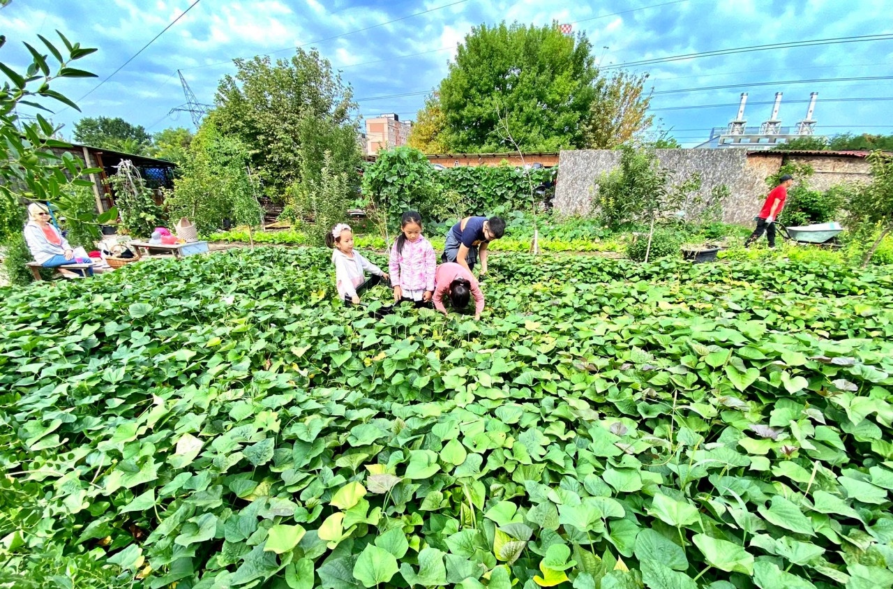 vuon Viet o nuoc ngoai anh 4