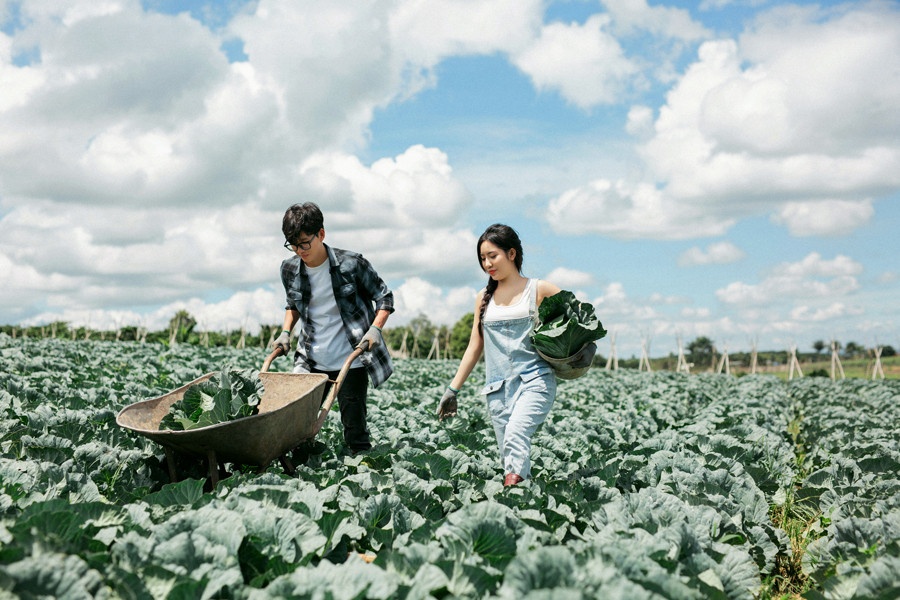 chụp ảnh cưới trong vườn ảnh 3 chup anh cuoi trong vuon anh 3