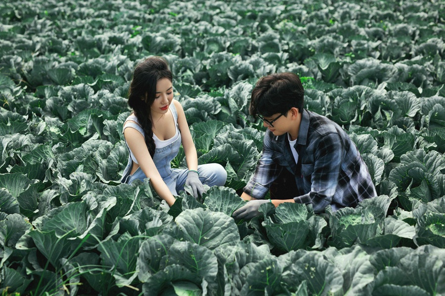 chụp ảnh cưới trong vườn ảnh 1 chup anh cuoi trong vuon anh 1