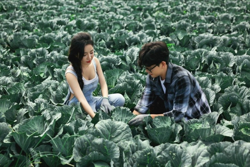 Cap doi chup anh cuoi tren vuon bap cai tu trong hinh anh