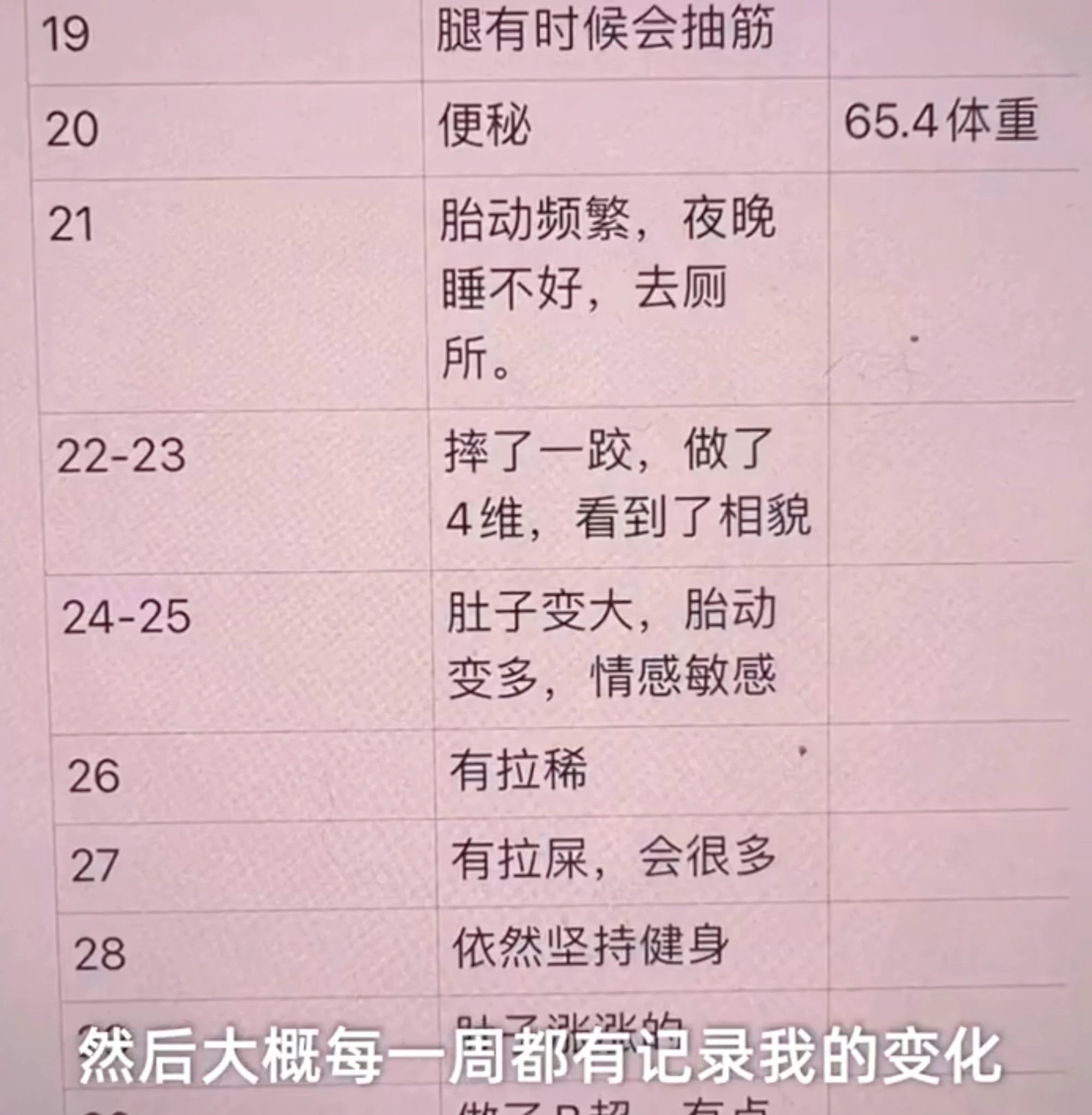 nhat ky mang thai anh 1