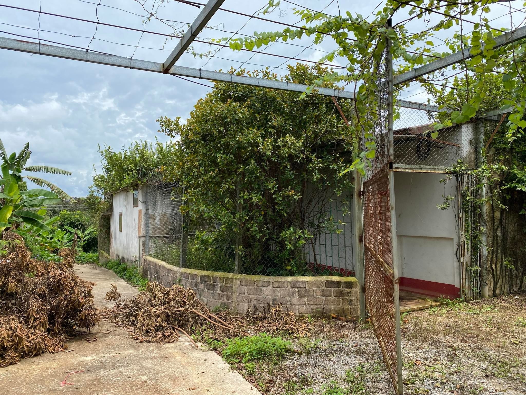 bien nha hoang thanh quan anh 2