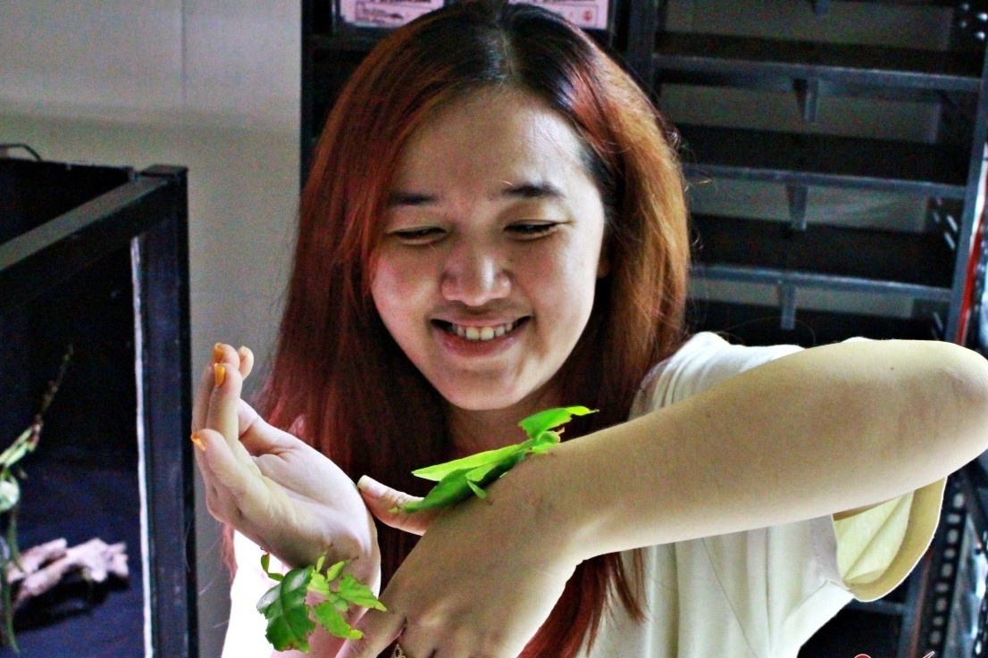 Nhung 'chiec la' tien trieu khien nguoi tre me man hinh anh