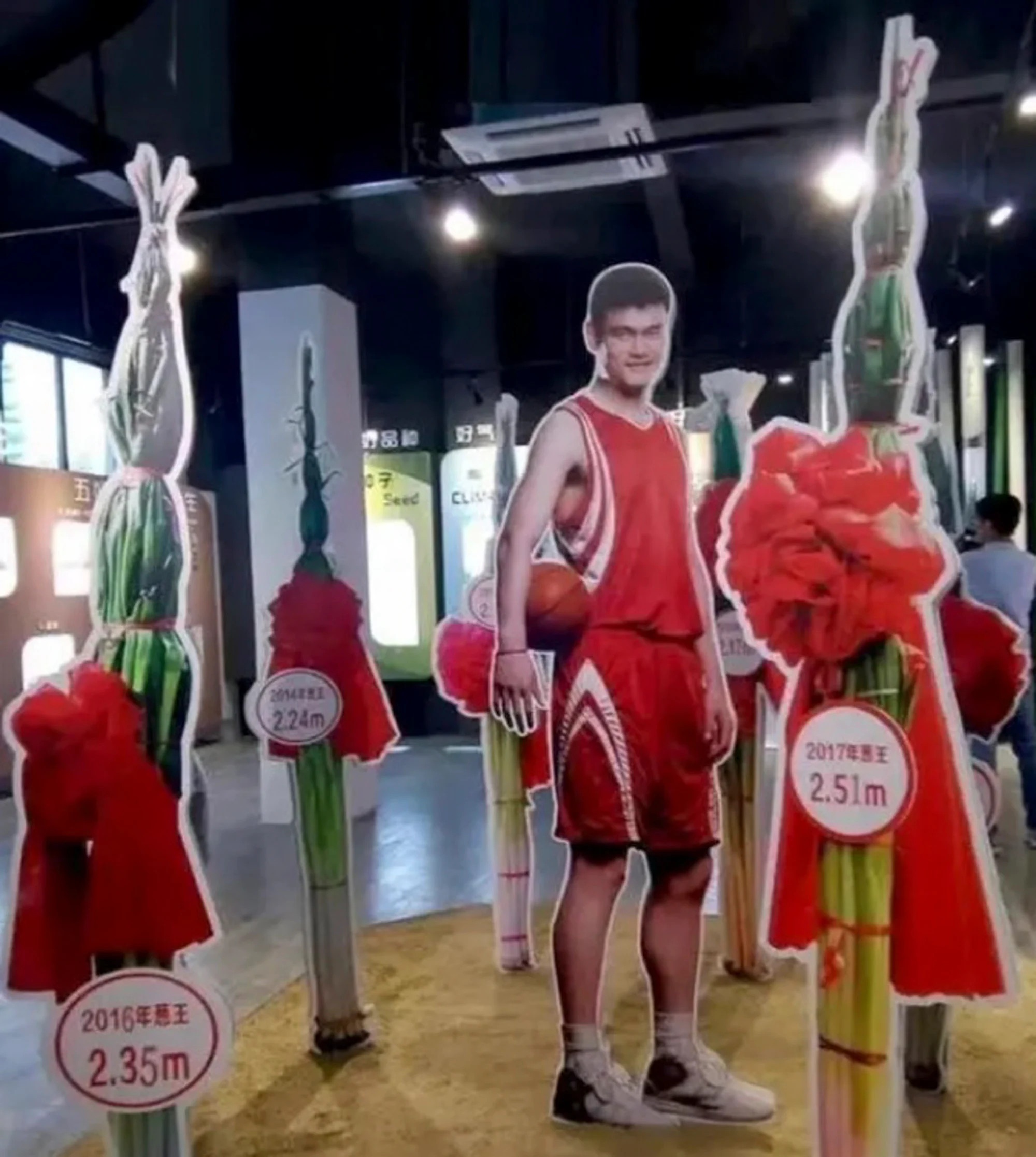 rau củ khổng lồ ảnh 2 rau cu khong lo anh 2