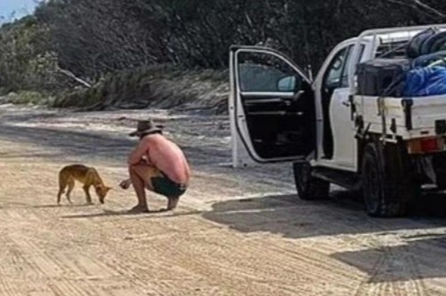 Bi phat 1.400 USD vi cho cho hoang an hinh anh