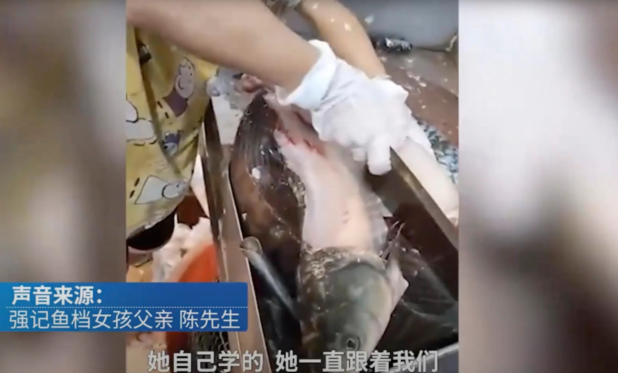 bé gái làm thịt cá ảnh 1 be gai lam thit ca anh 1