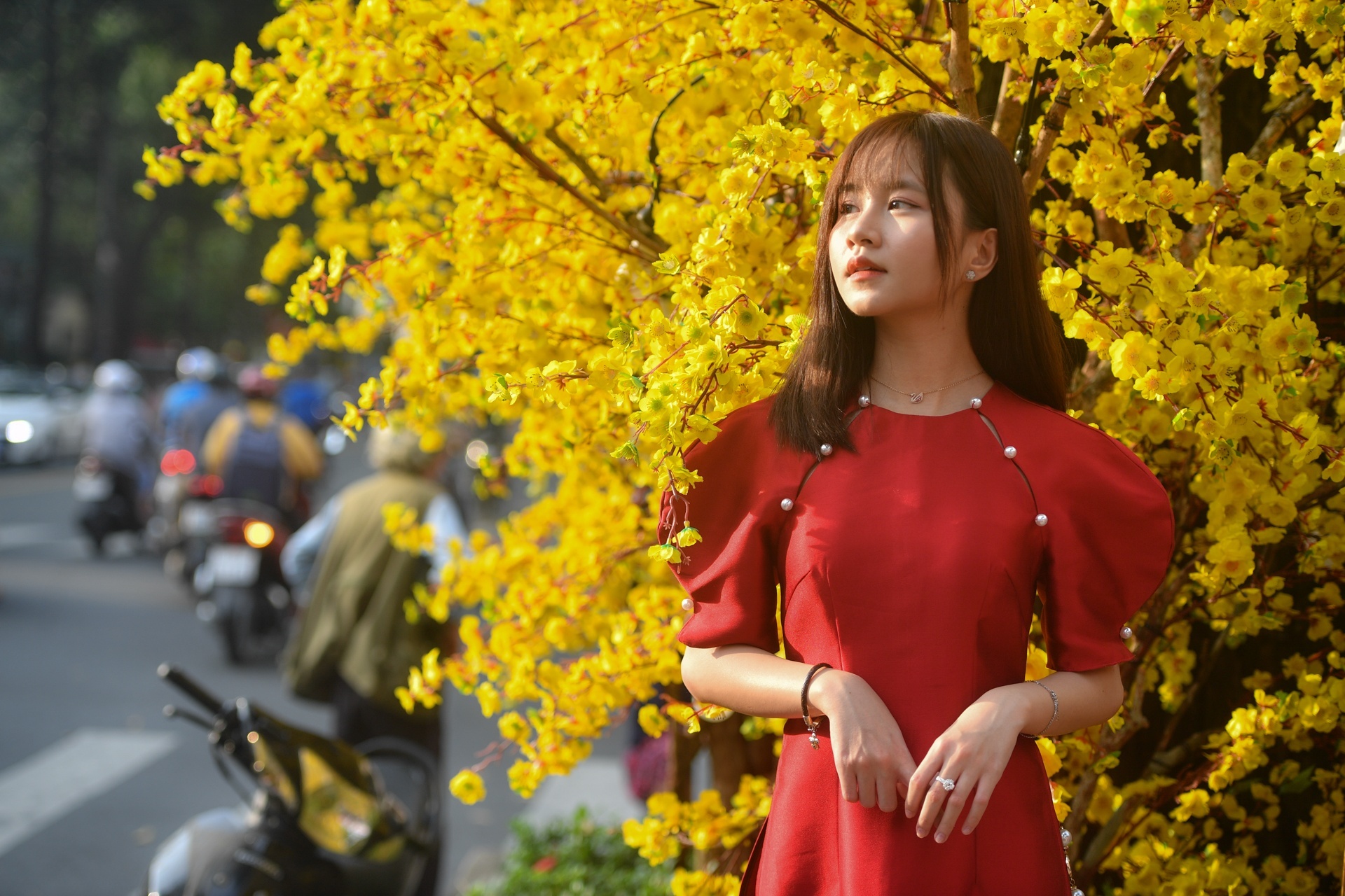 Nhung cau chuc Tet hay, y nghia cho nam moi Quy Mao hinh anh