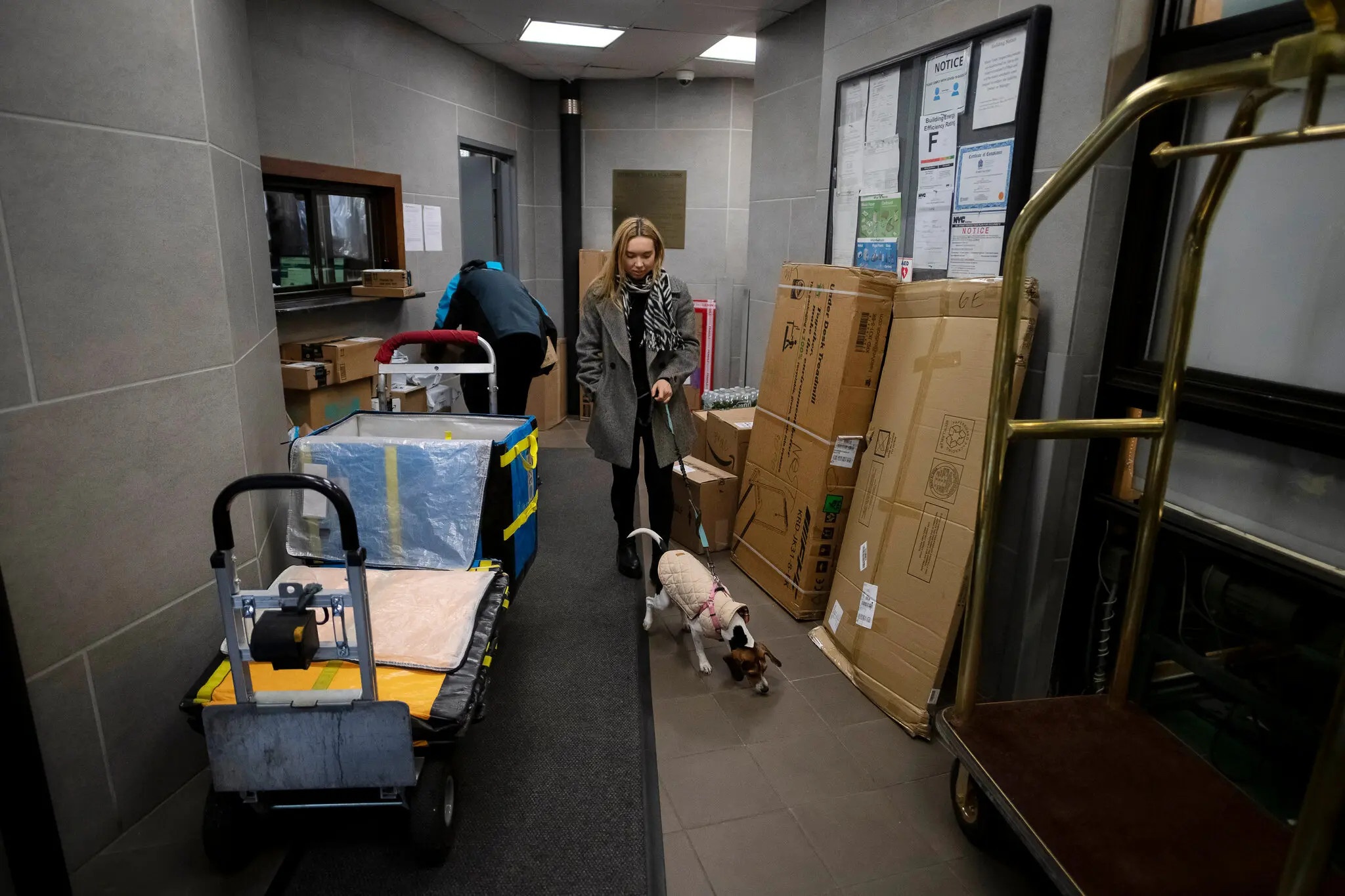 nuoi cho o chung cu anh 3