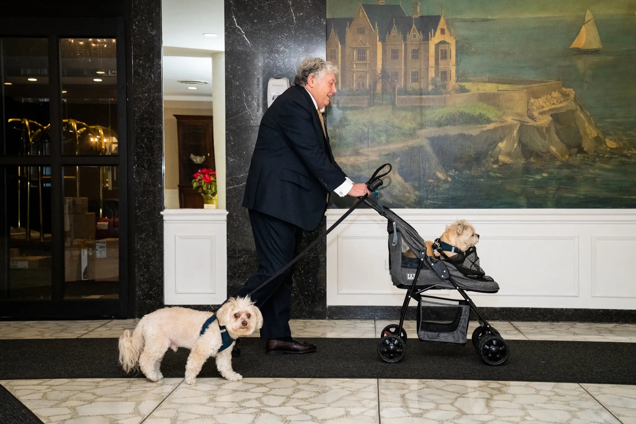 nuoi cho o chung cu anh 2