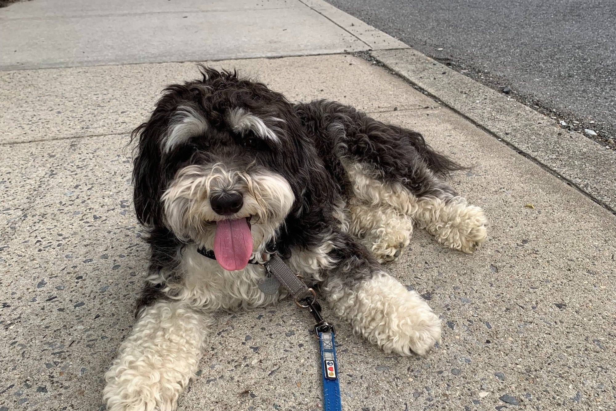 dich vu tai nha anh 3