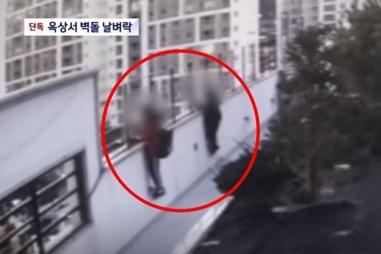 Bo me Han Quoc mac ke viec con nem gach suyt trung nguoi hinh anh