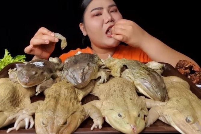 Mukbang kinh di cua cac TikToker Viet Nam hinh anh