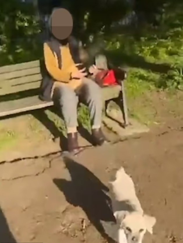 tiktoker chơi khăm ảnh 2 tiktoker choi kham anh 2