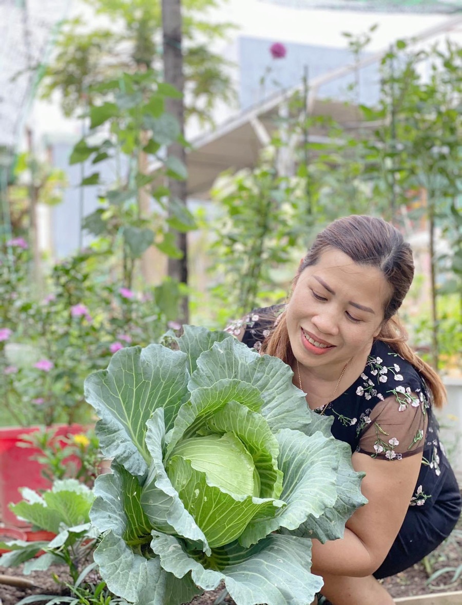 Trong cay ban cong anh 1