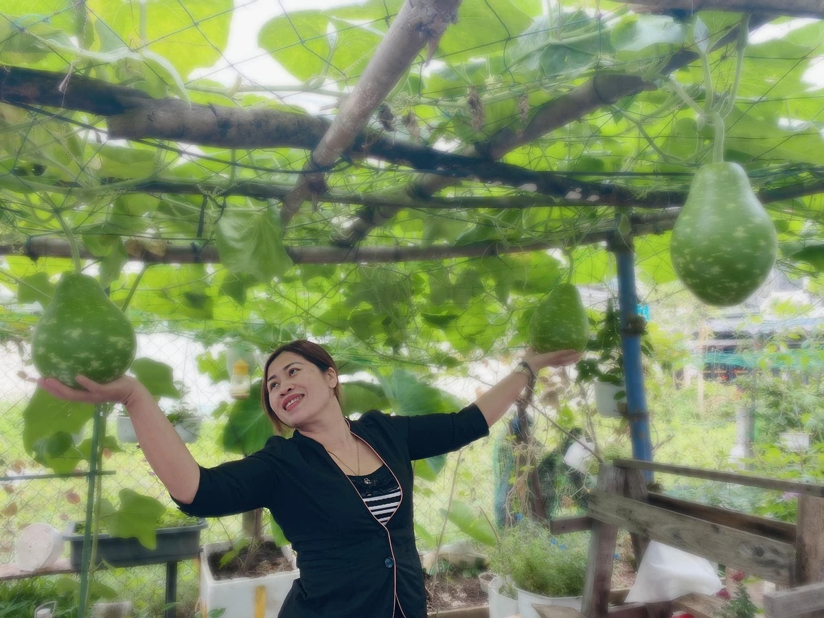 Trong vuon rau xanh muot, nguoi phu nu hon 10 nam khong phai mua rau hinh anh