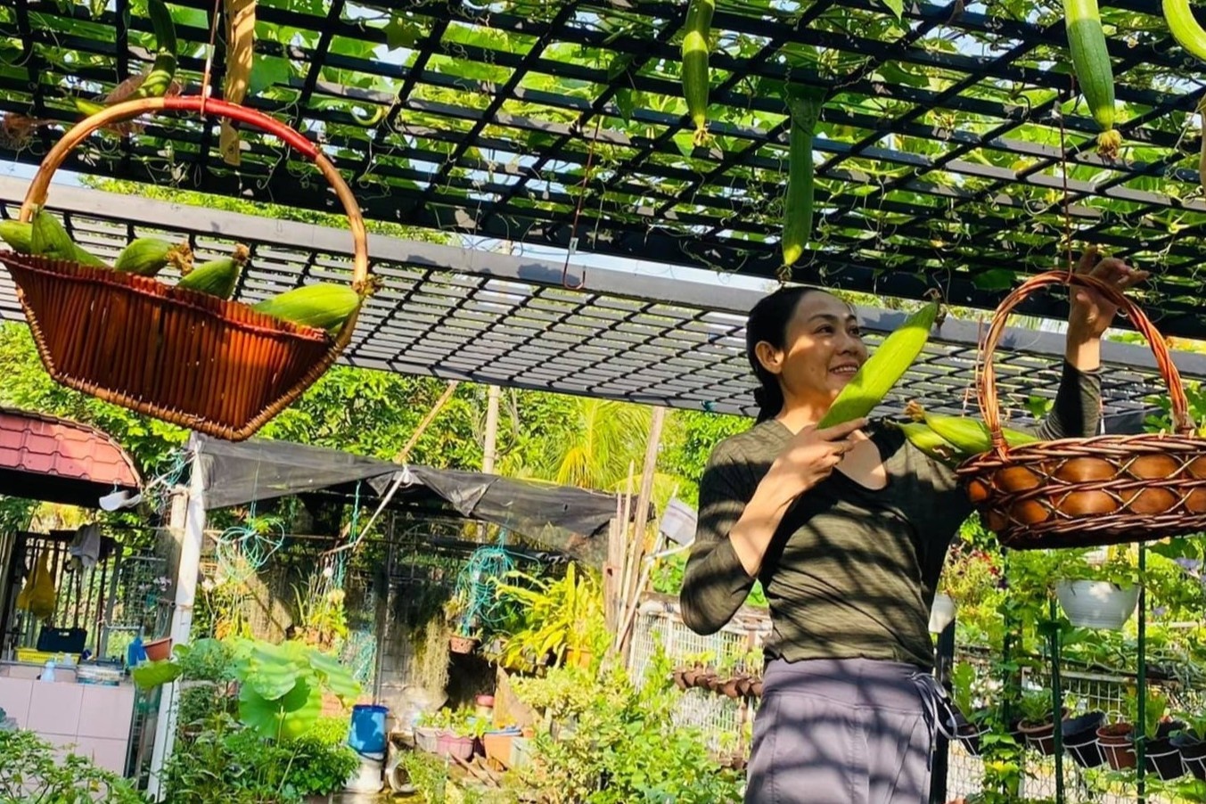 Vuon rau duoc nguoi phu nu Viet xem nhu gia tai o Malaysia hinh anh