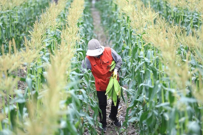 nguoi tre Han Quoc anh 1
