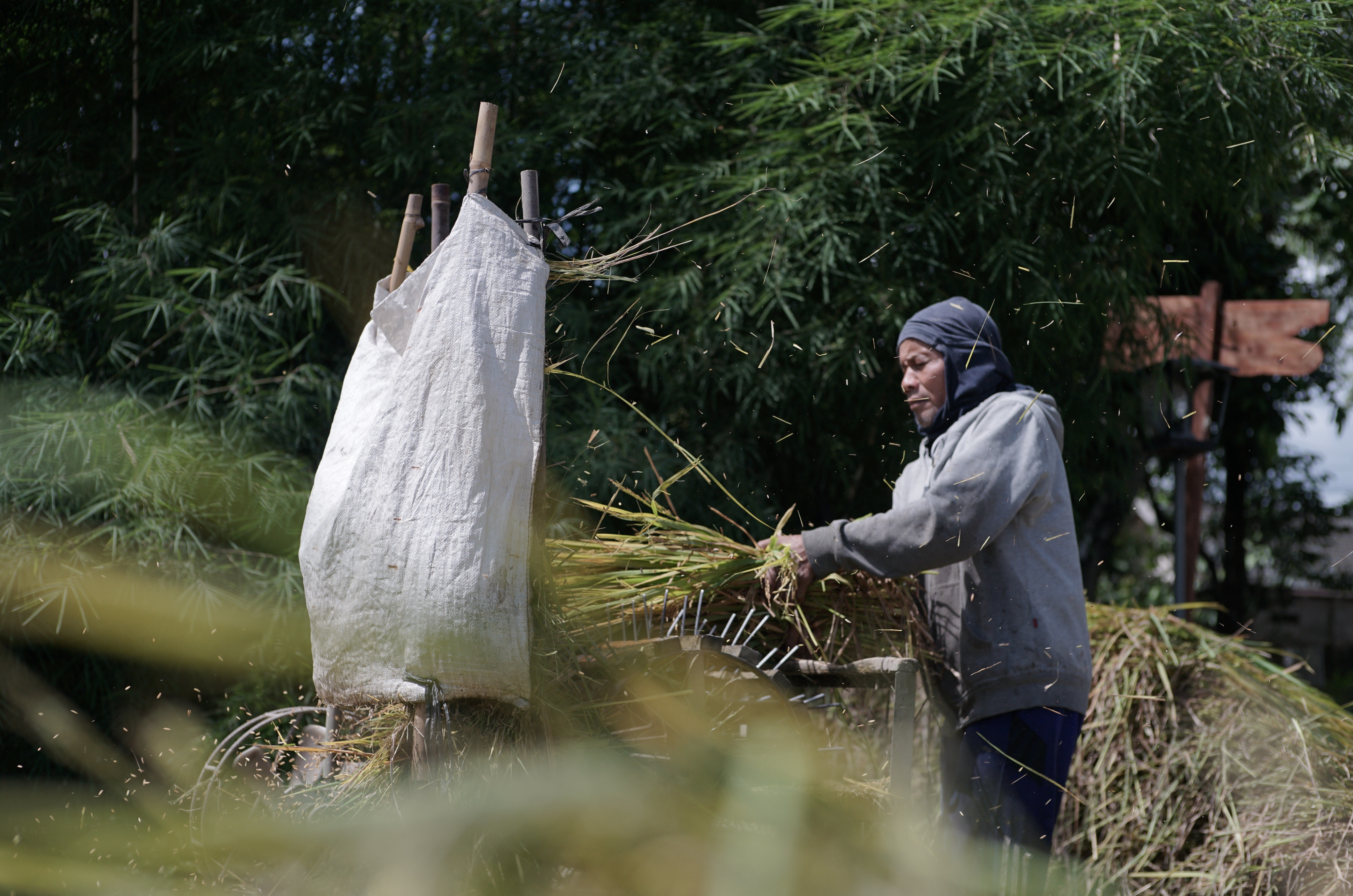 lam viec duoi nang nong anh 1