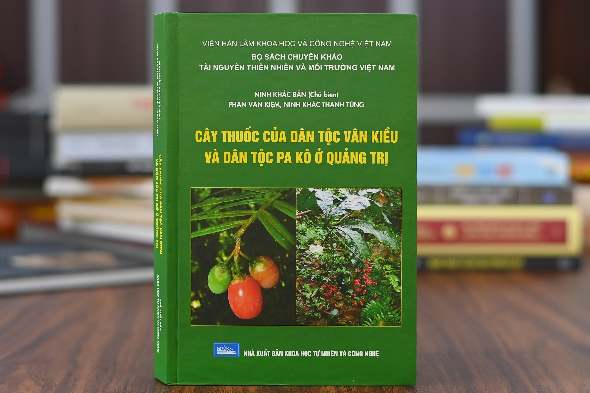 Nhung cay thuoc quy cua dong bao dan toc thieu so o Quang Tri hinh anh