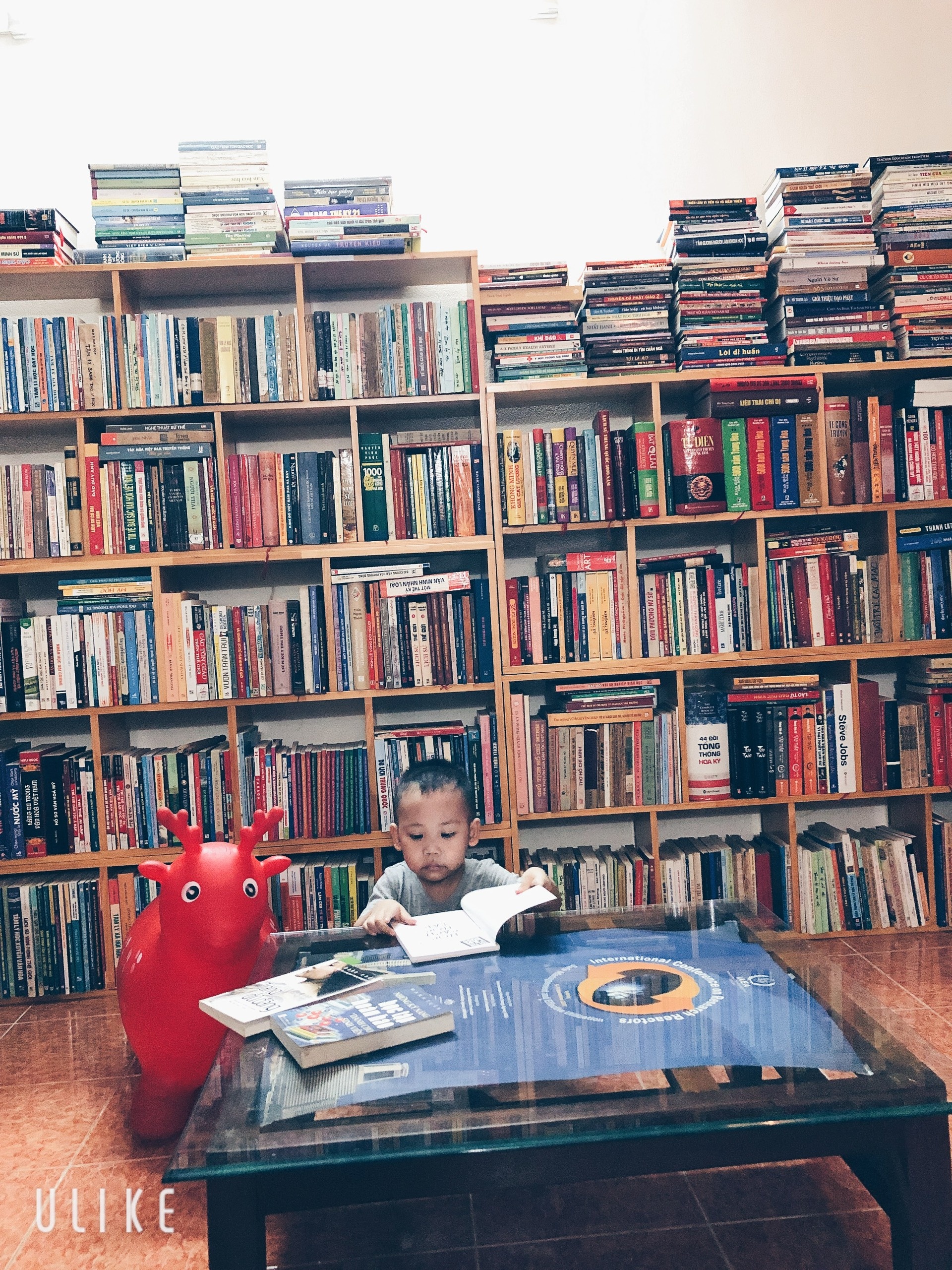 vo chong doc sach anh 4