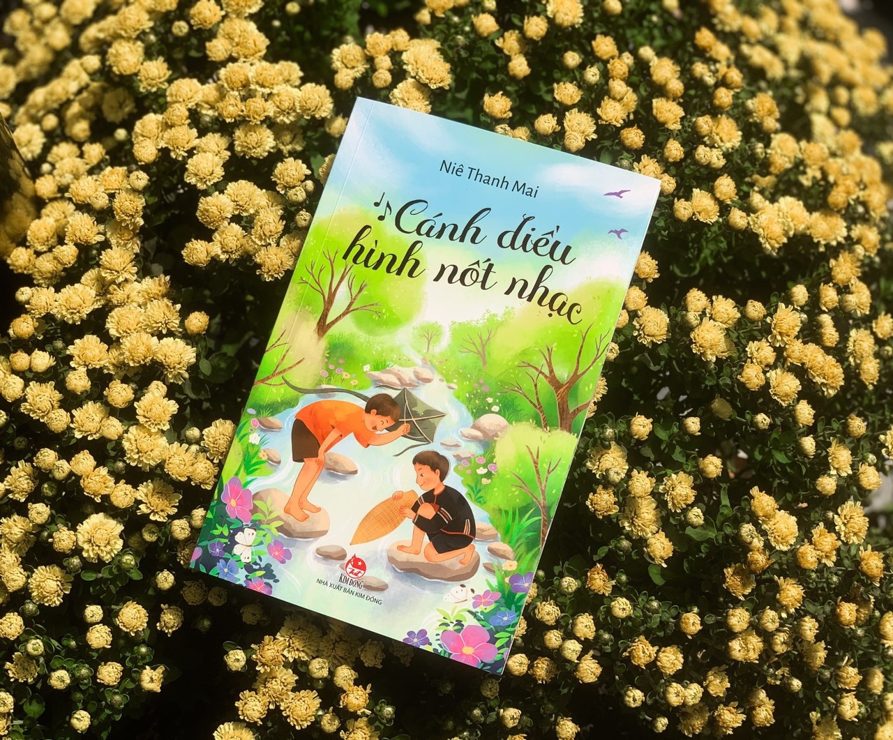 giai van hoc kim dong anh 2