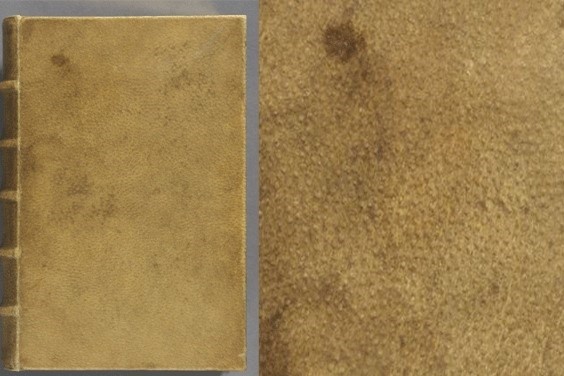 DH Harvard go bo tam da nguoi tung dung lam bia sach hinh anh