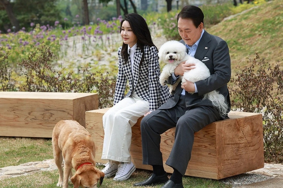 Noi thuc an cho cho meo con ban chay hon sua bot tre em hinh anh