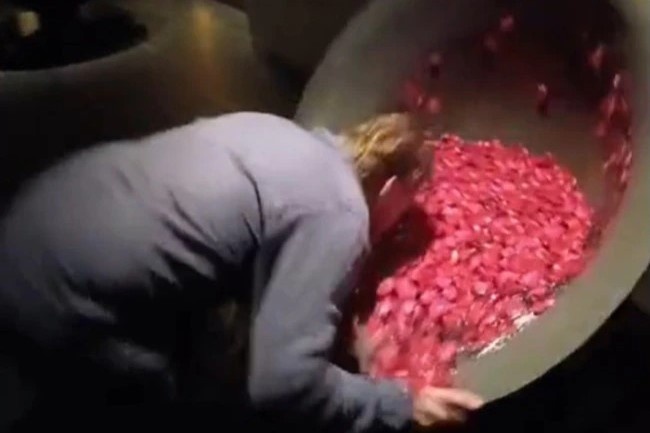 38 trieu luot xem tro dua dai cua du khach o Bali hinh anh