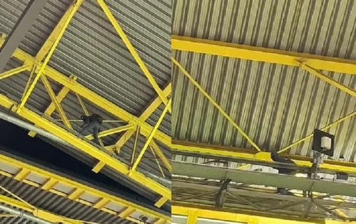 noc san van dong euro anh 1