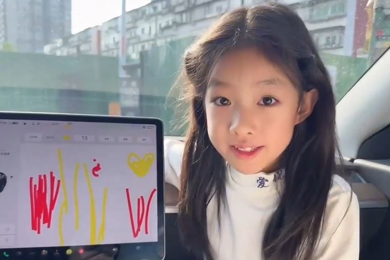 Be gai 7 tuoi phat hien loi tren xe Tesla hinh anh