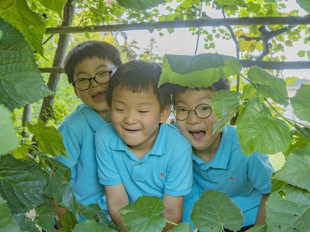 anh em Daehan Minguk Manse anh 9