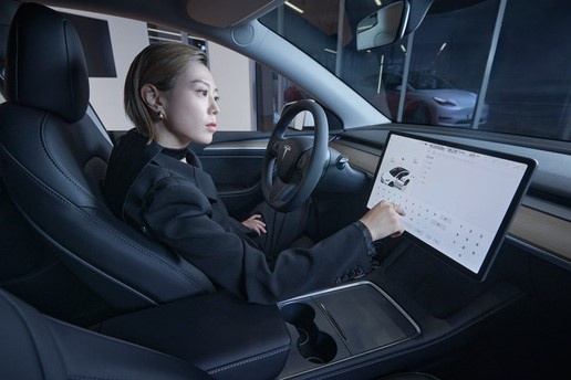 Cu bat tay giua 'xa thu ngau nhat hanh tinh' va cong ty cua Elon Musk hinh anh
