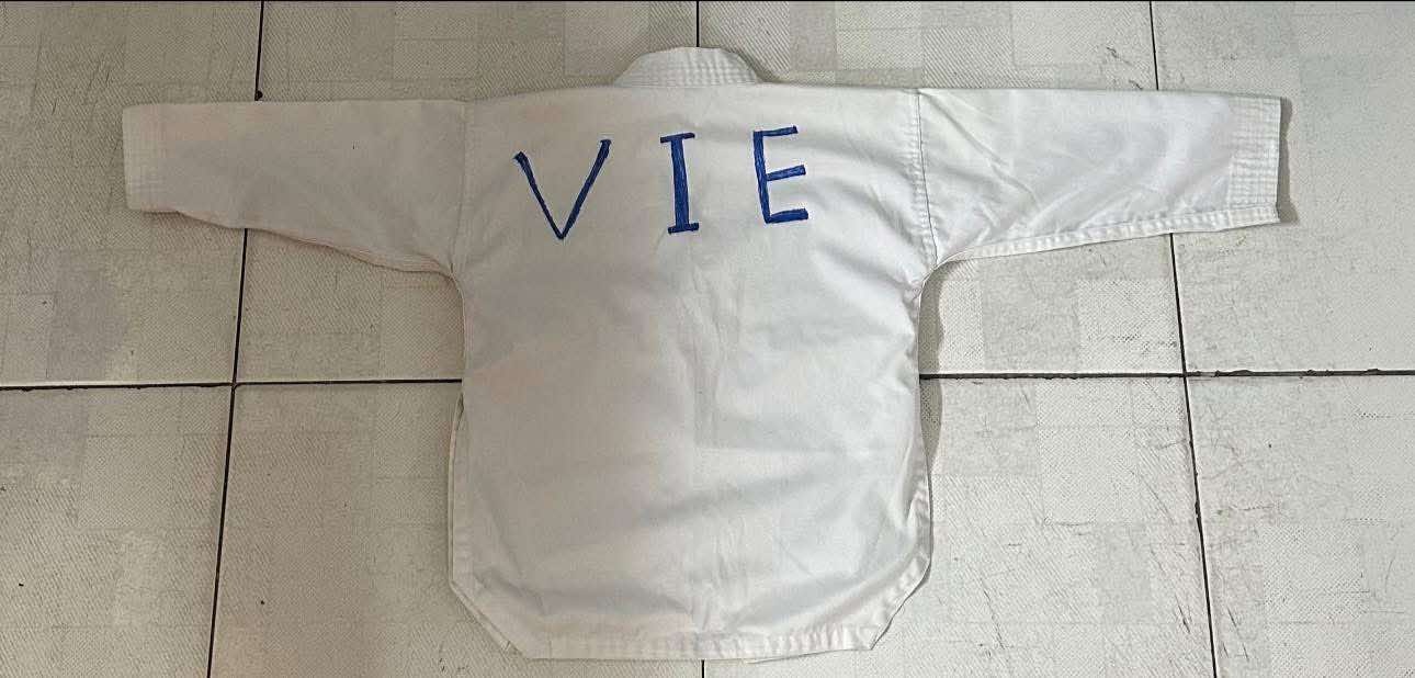 taekwondo ho thanh an anh 2