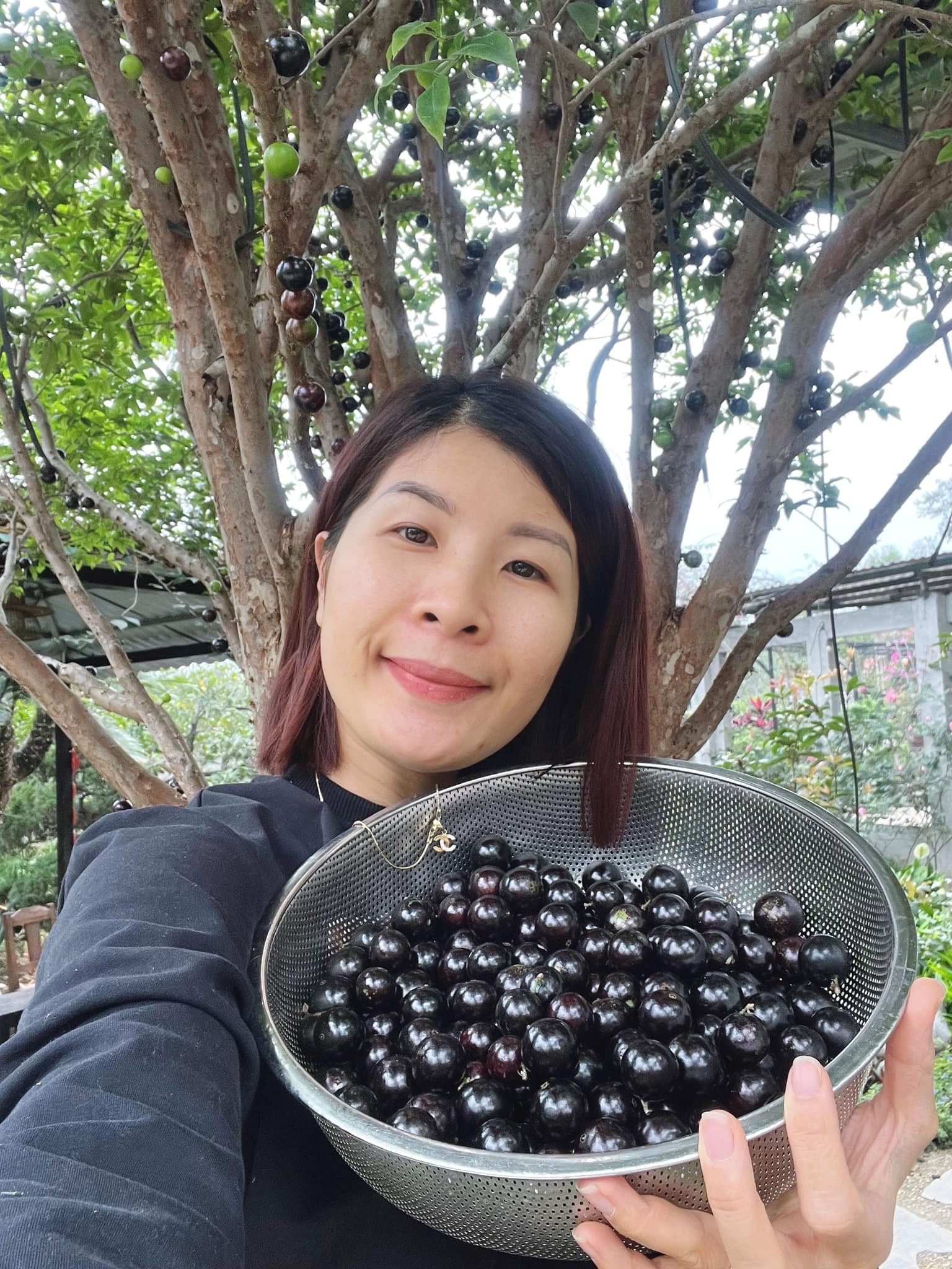 bỏ phố về quê sống ảnh 1 bo pho ve que song anh 1