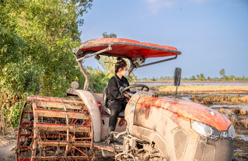 co gai lai may cay anh 1