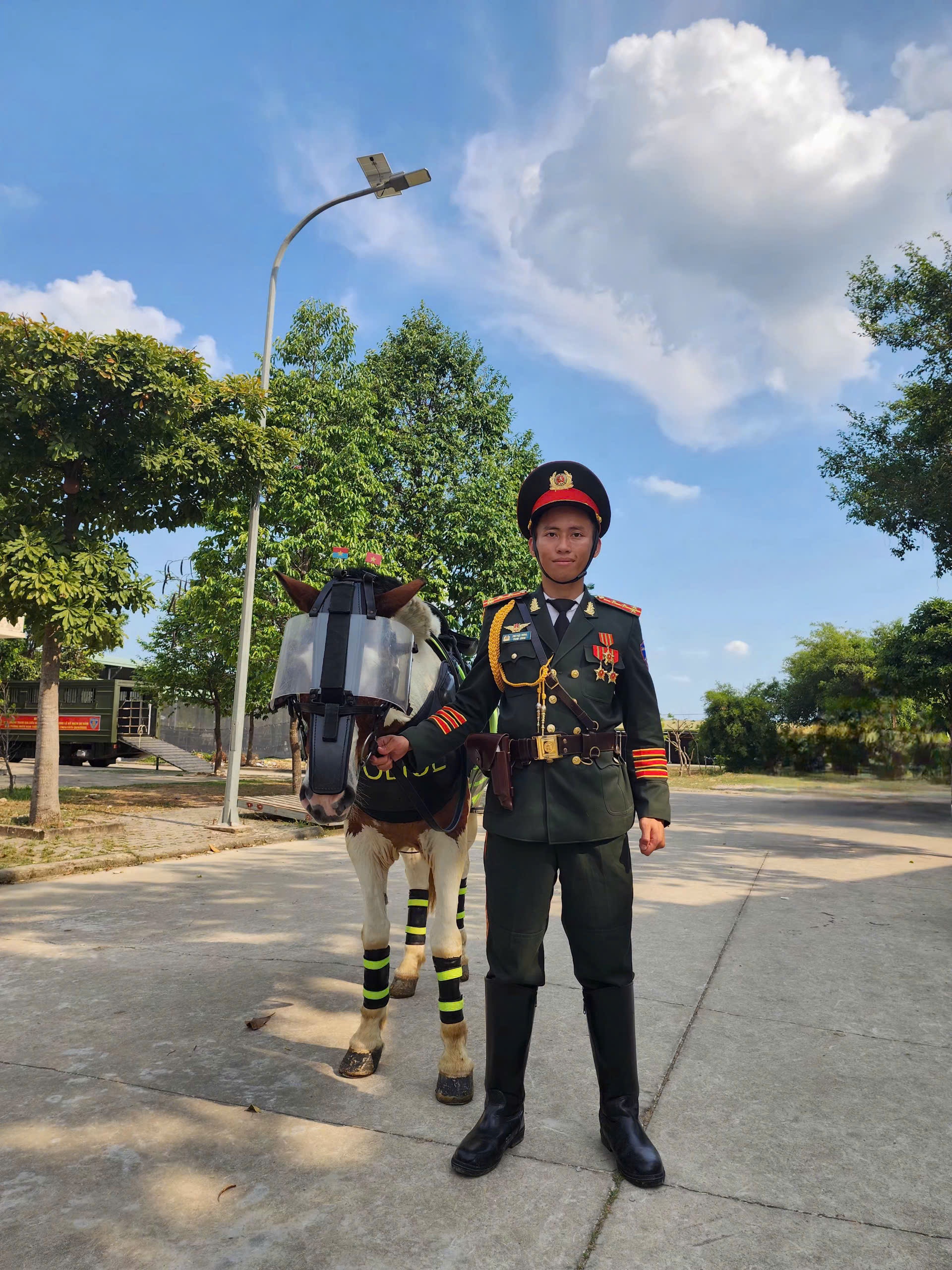 ngua sunny dieu binh anh 1