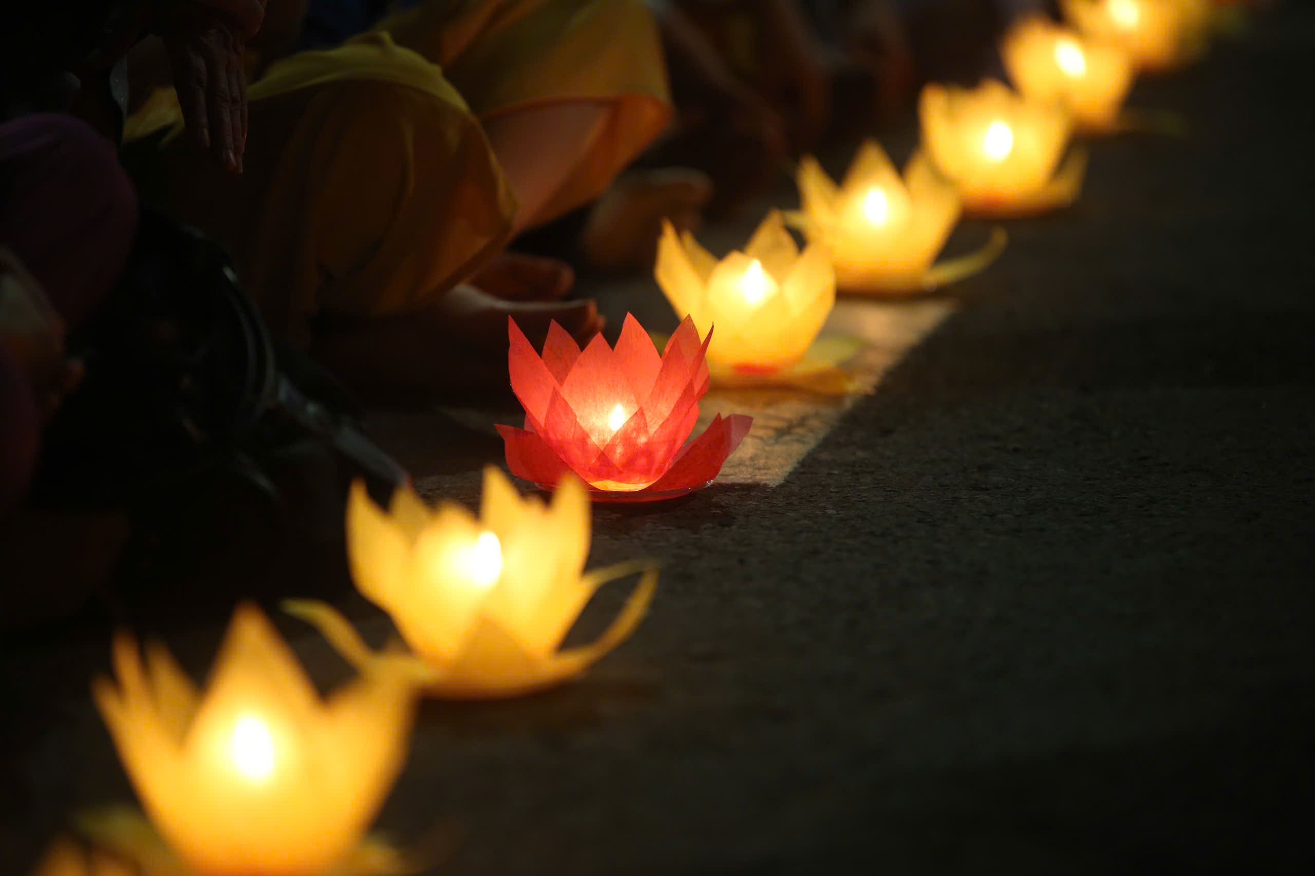 Dai le Vesak anh 7