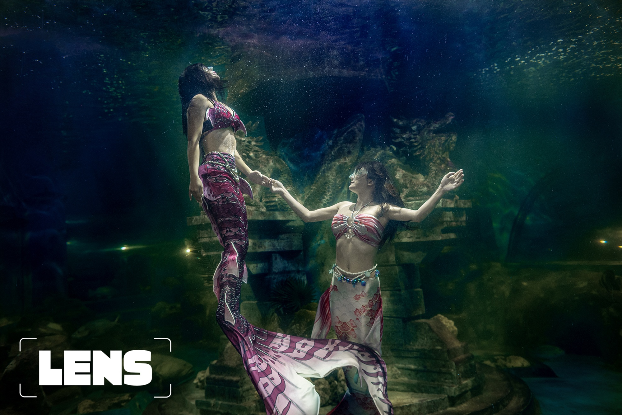 Hai the gioi cua 'nang tien ca' hiem hoi o Viet Nam hinh anh