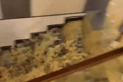 Nuoc lu tran vao nha dan o Lang Son xoi xa nhu thac hinh anh