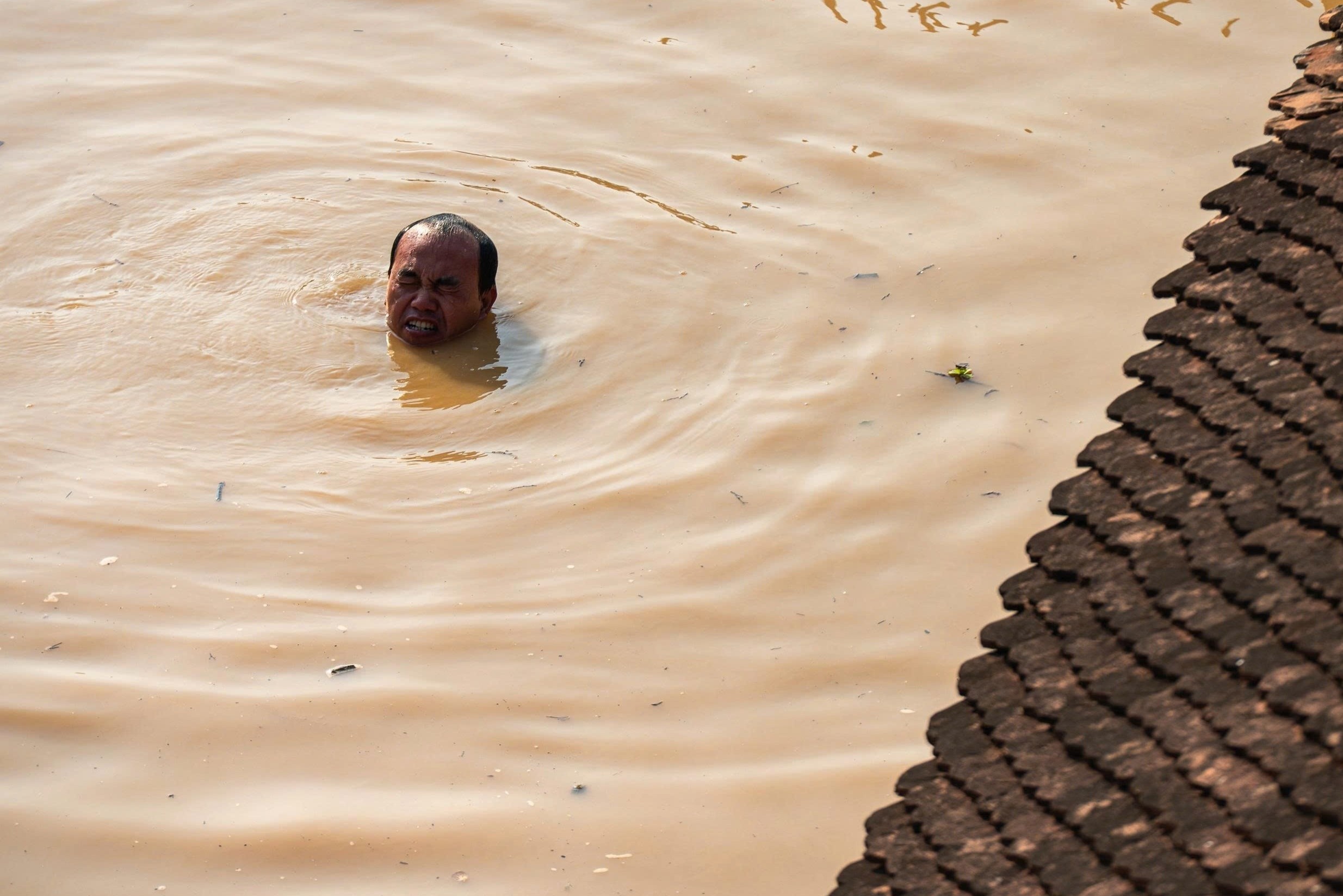 Canh nguoi dan boi giua dong lu lich su, co cuu tung goc bonsai hinh anh