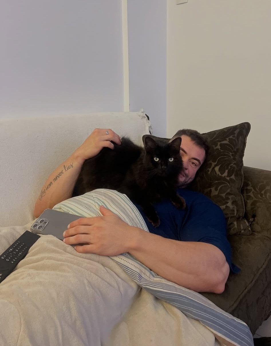 qua đời vì mèo cưng ảnh 2 qua doi vi meo cung anh 2