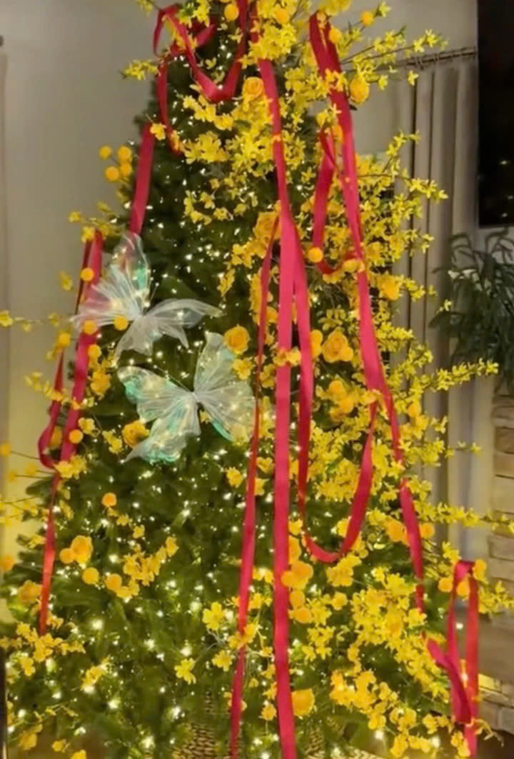 giáng xuân ảnh 6 giang xuan anh 6