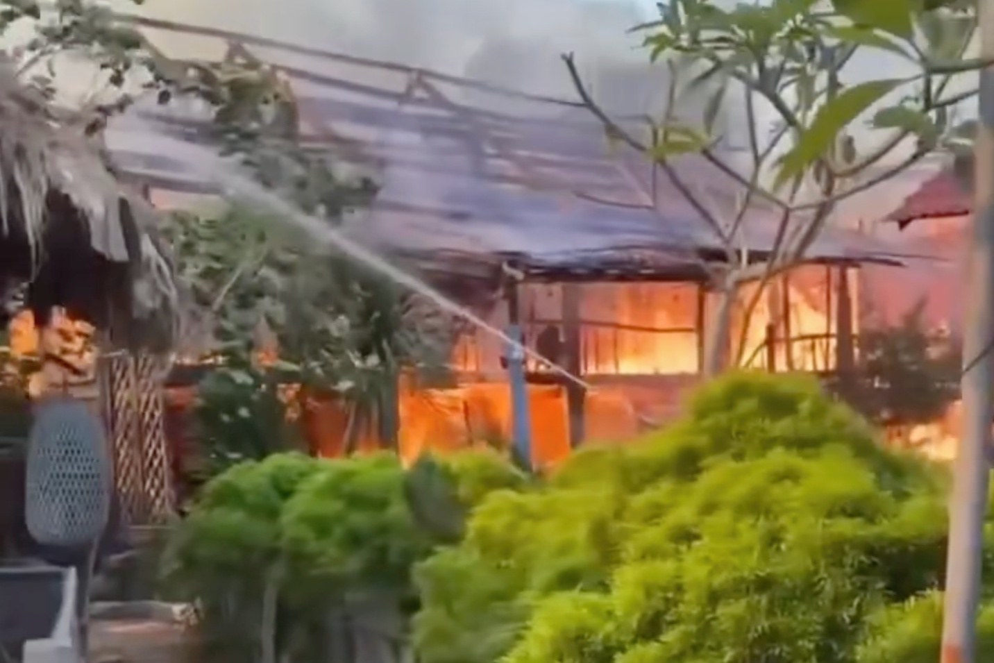 Can canh lua 'nuot tron' quan ca phe vua khai truong o Da Nang hinh anh