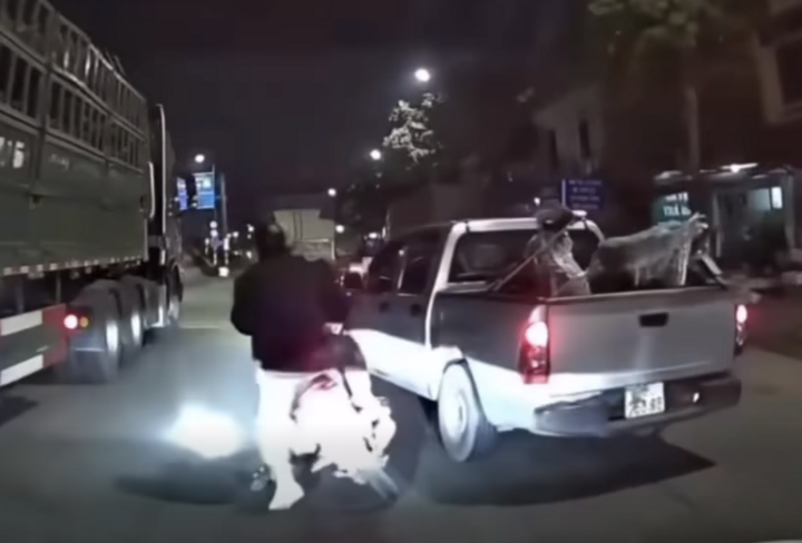 Chang trai Thanh Hoa kho so vi bi nham la tai xe oto vu tat dau xe may hinh anh