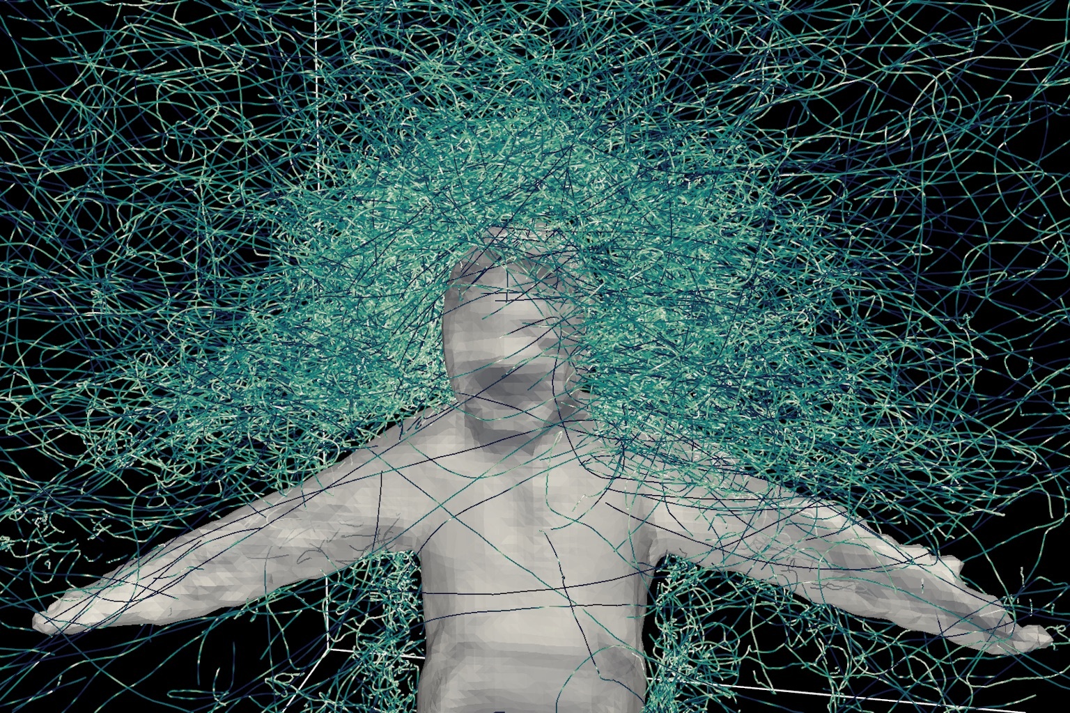 Tu nguyen 'lam moi' cho 100 con muoi doi khat hinh anh