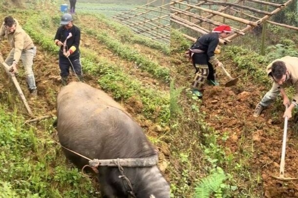 Clip khach Tay di cay o Lao Cai gay sot hinh anh