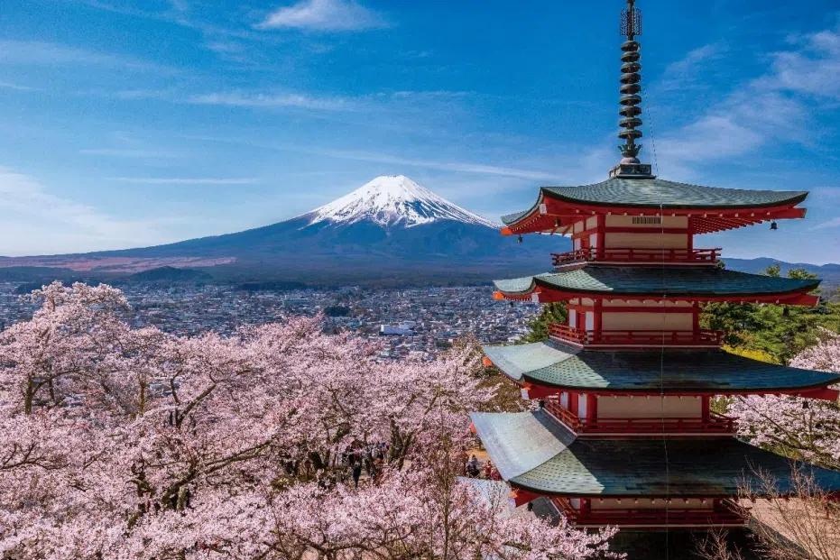 Thanh pho Nhat Ban 'khon kho' vi mot buc anh hinh anh